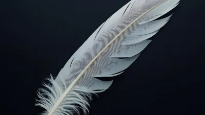 white feather symbolism